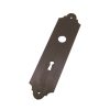 EP-B4 Escutcheon Plate for Lever Lock Steel 200 x 50 x 3mm